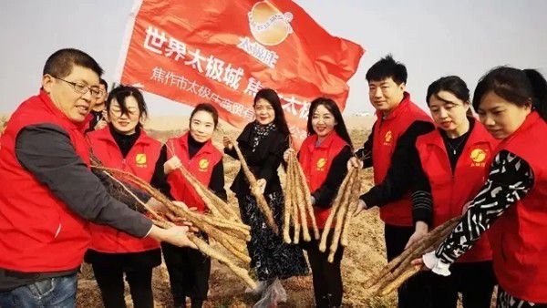 鐵棍山藥規(guī)?；?biāo)準(zhǔn)化種植