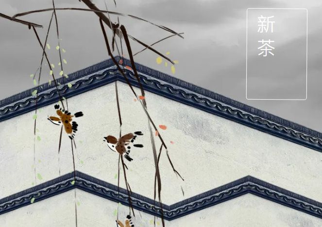 太極莊新菊上市！白菊婉清顏，芳香滿庭院